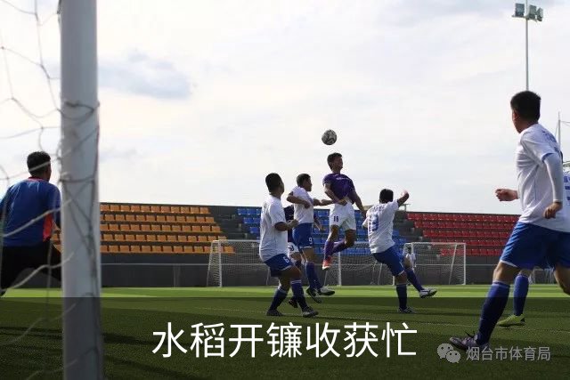 水稻开镰收获忙